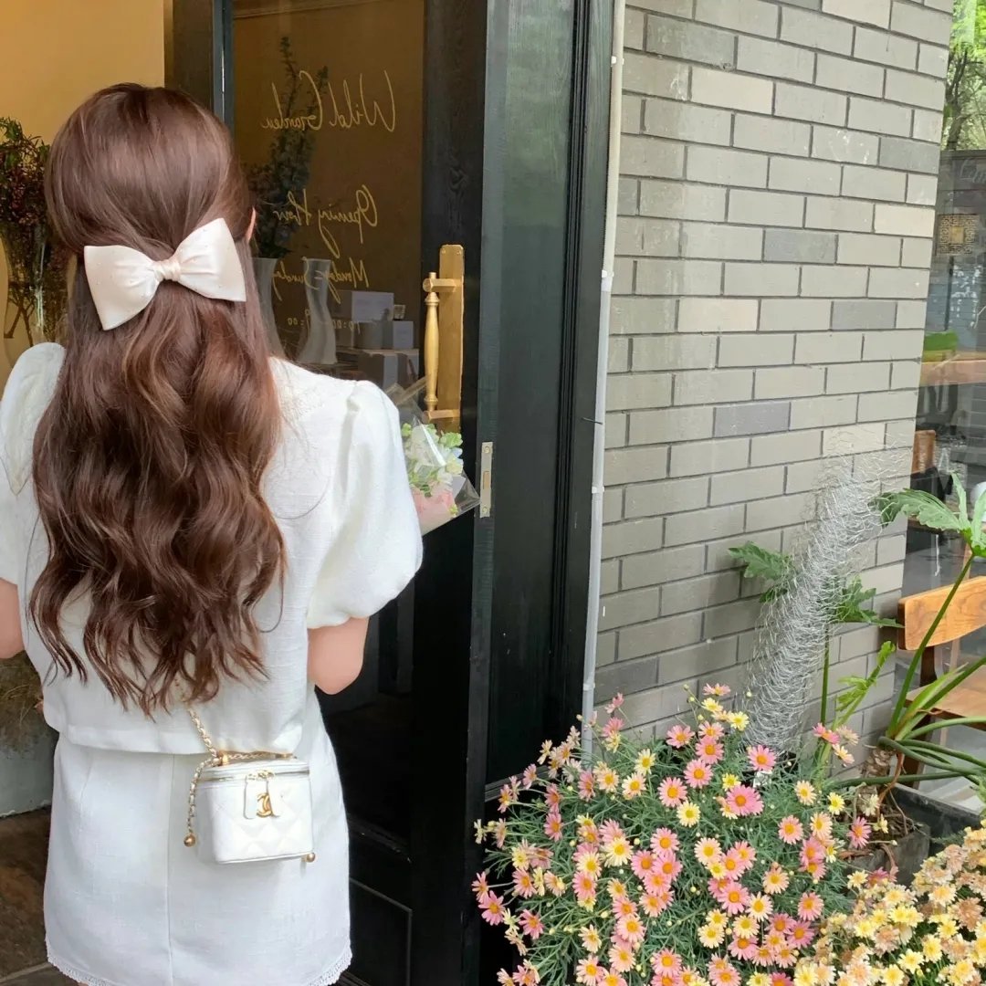 加菲猫家族
